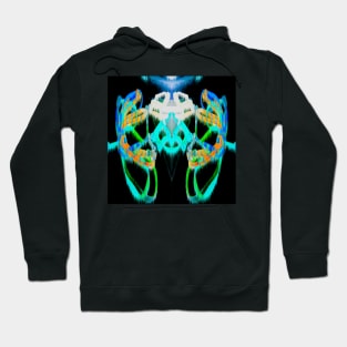 interplanetary link with all the vibrant colors signs of life in the beyond universe Hoodie